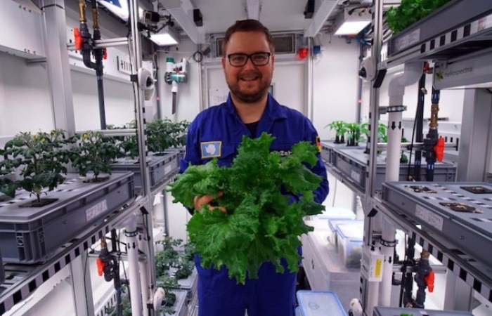 Как выращивают овощи в Антарктиде