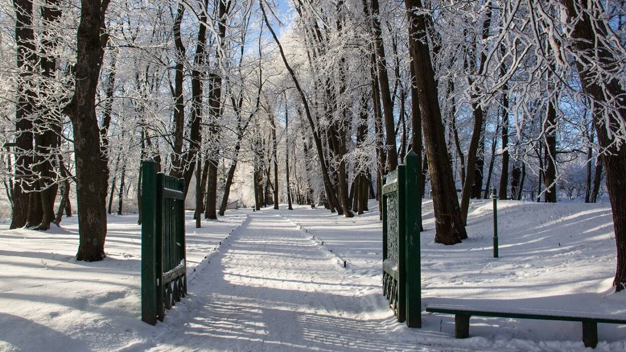 Зимние развлечения и праздники в семье писателя Льва Толстого