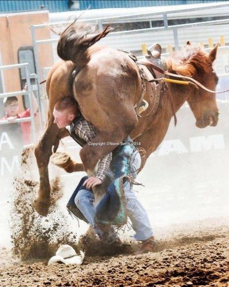 Мегапозитивная подборка дня Мегапозитивная подборка дня