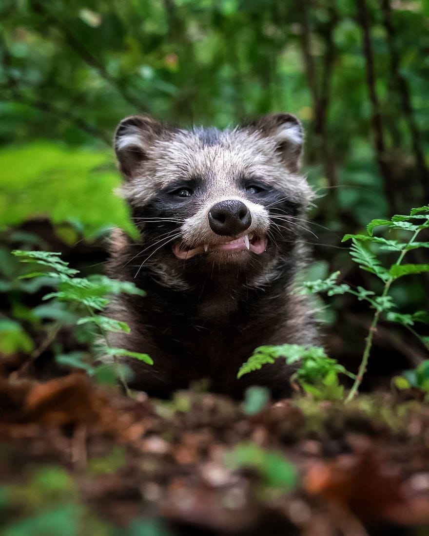 Финская природа в объективе финского фотографа Финская природа в объективе финского фотографа