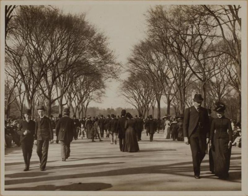 Поразительные фотографии Нью-Йорка с 1870-х по 1930-е годы авеню, улицы, годПятая, улица, НьюЙорк, НьюЙорка, улице, Google, годБродвей, северу, Западная, справа, racetrack, годAt, слева, парке, Центральном, Ботанический, Нассау, Улицы