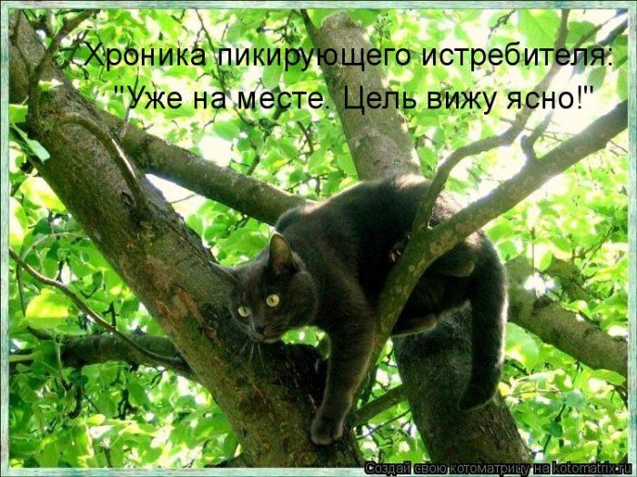 Мысли вслух :)