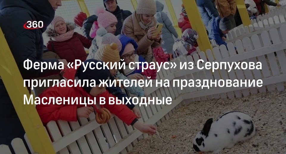 Ферма «Русский страус» из Серпухова пригласила жителей на празднование Масленицы в выходные