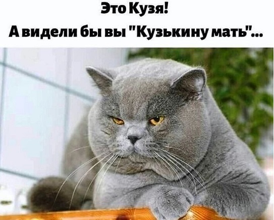 – Я решила начать новую жизнь! – Перестала жрать по ночам? – Не настолько новую 