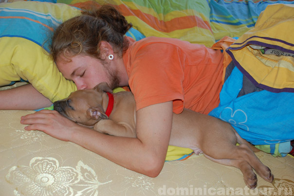 доминиканская республика туры из киева, доминиканская республика отели отзывы, туры в доминикану, туры на доминикану, доминикана туры