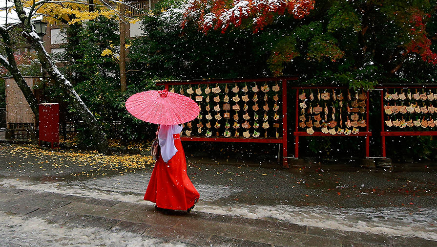 В Токио впервые за 10 лет пошел снег в конце марта