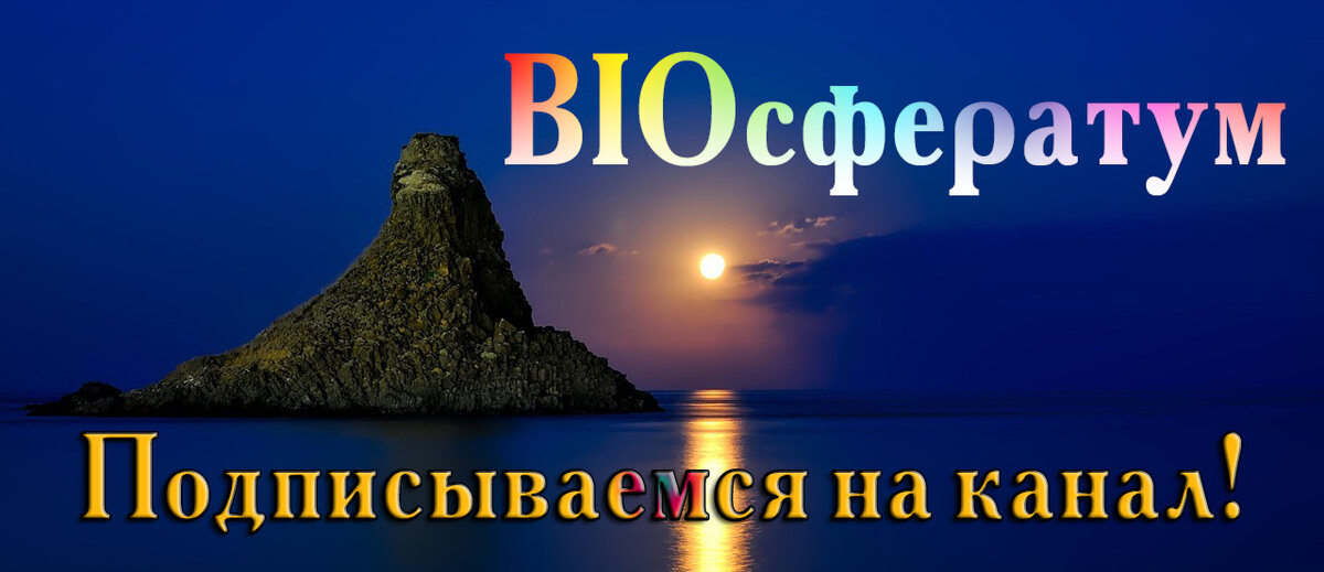 Ряд интернет-изданий и различных форумов примерно месяц назад опубликовал новость о том, что российская подводная лодка столкнулась с подводным неопознанным объектом и на время вышла из строя.-3