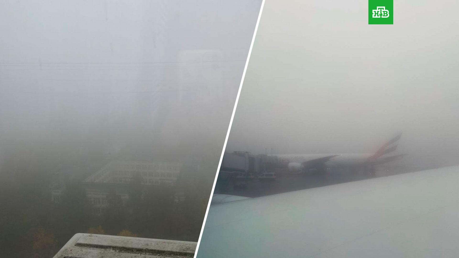 Почти 40 авиарейсов отменили в Москве из-за тумана