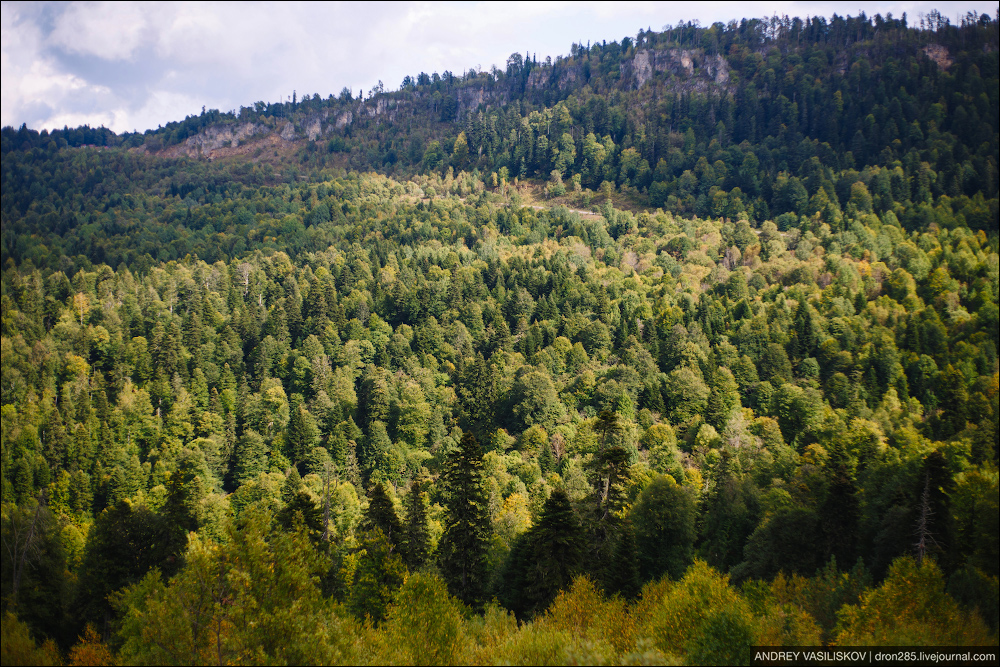 Адыгея. Плато Лаго-Наки. Адыгея. Плато Лаго-Наки. автотуризм