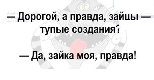 Это как понимать: "Дорогой, я куплю себе тушь.", а потом СМС: "Встречай меня на остановке, я с тяжелыми сумками!"…? анекдоты,веселые картинки,демотиваторы,юмор