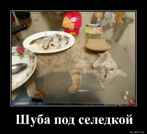 Сборник демотиваторов для хорошего настроения 