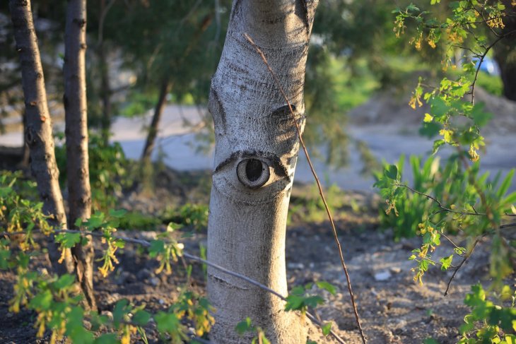 Прикольные фотографии которые поднимут настроение