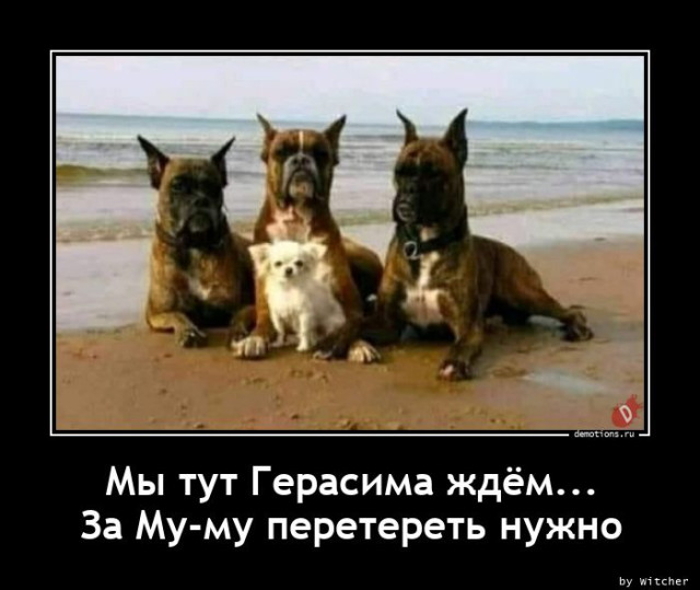 Демотиваторов пост: «Когда бюджет ограничен, а праздника хочется…» 