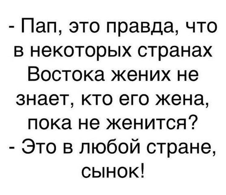 Реально смешные истории от пользователей Интернета – для вашей улыбки