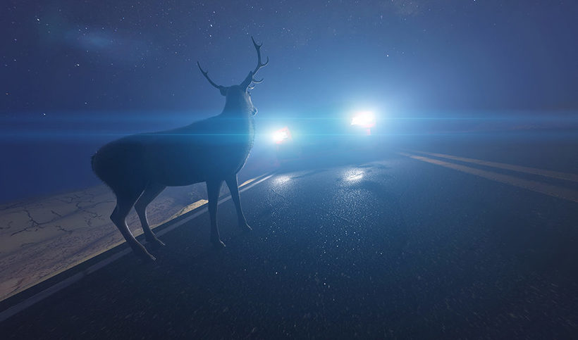 Почему олени не могут двигаться, когда на них попадает свет фар автомобиля