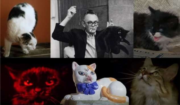 Тринадцать кошек Леонида Гайдая — мистических и бытовых (20 фото + 1 видео)