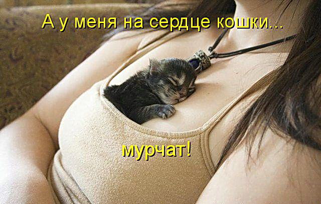 - Дорогой, будешь еще котлетку?  - Конечно, дорогая... Весёлые,прикольные и забавные фотки и картинки,А так же анекдоты и приятное общение