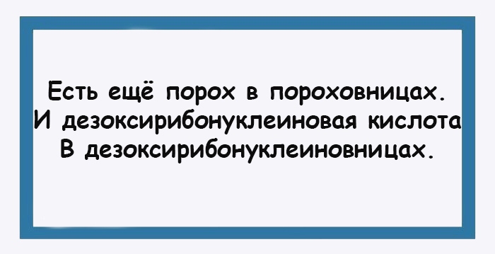 Есть еще порох в пороховницах картинки