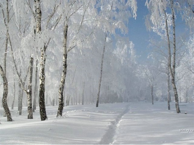 Почему русская молодежь ведёт себя суицидным образом? Почему русская молодежь ведёт себя суицидным образом? россия