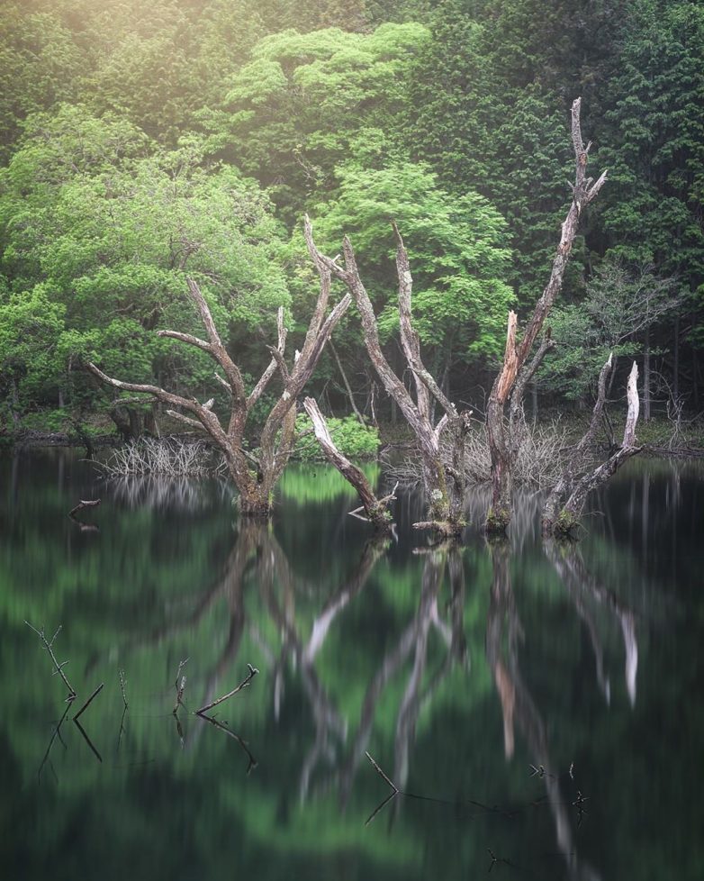 Япония: страна, которой невозможно налюбоваться Япония: страна, которой невозможно налюбоваться мир,страны,туризм,япония