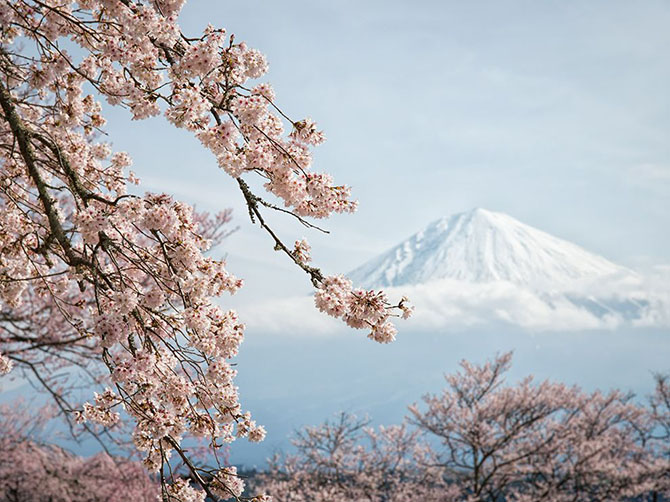 Лучшие фотографии National Geographic мая 2014 