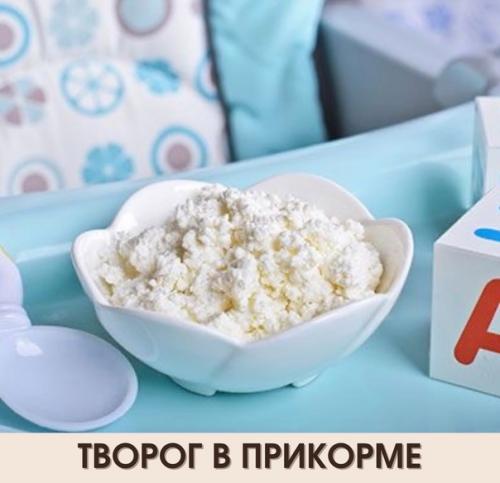 Творог - это кисломолочный продукт, произведенный с использованием заквасочных микроорганизмов.