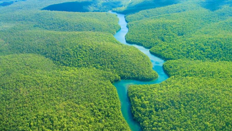 10 самых впечатляющих лесов планеты, в которых хочется поселиться навсегда видов, Конго, Дождевой, большой, животных, является, Амазонки, включая, процентов, Национальный, квадратных, километров, также, многих, лесов, приблизительно, Дейнтри, флоры, ЮНЕСКО, вырубки