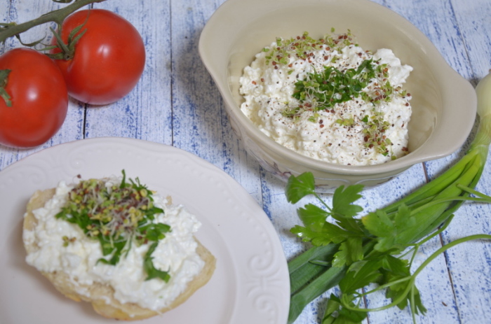 Блюда из творога, которые придутся по вкусу тем, кто не переносит его в чистом виде