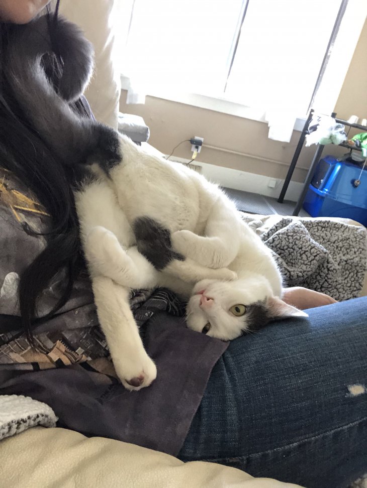 Прикольные фотографии которые поднимут настроение