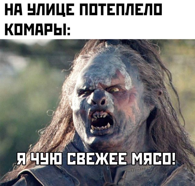 Фотоподборка субботы  Юмор смех шутки анекдоты без границ