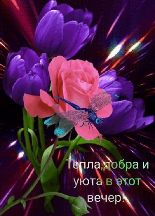 Анекдоты и юмор на славу