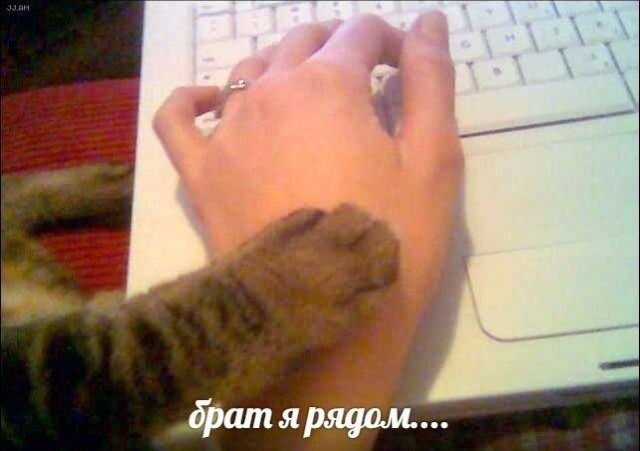 Фотоподборка субботы  Юмор смех шутки анекдоты без границ