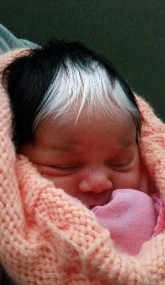 Мегапозитивная подборка дня Мегапозитивная подборка дня