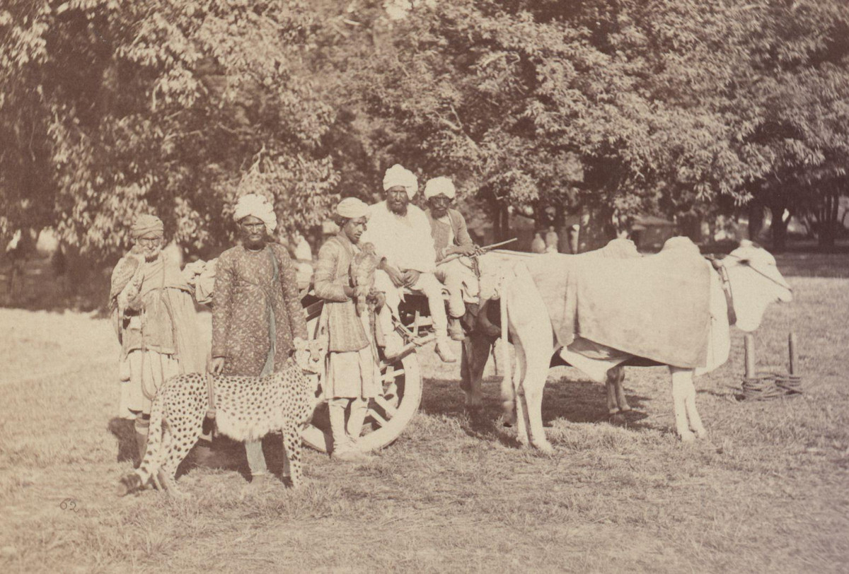 Albom fotografii indiiskoi arhitektury vzgliadov liudei 33 1