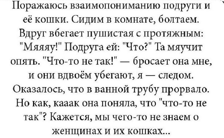 18 «вспышек» смешного: лучший юмор с просторов Сети 18 «вспышек» смешного: лучший юмор с просторов Сети