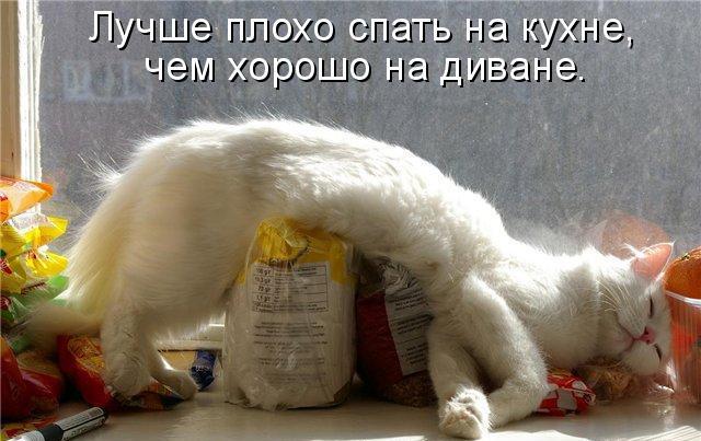Етиццкий Кот... Етиццкий Кот...