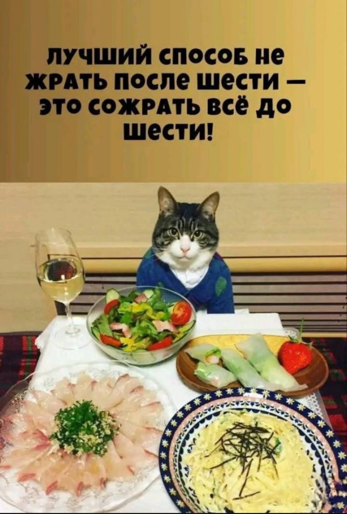 Долбаные холода. Скорее бы жара долбаная! 