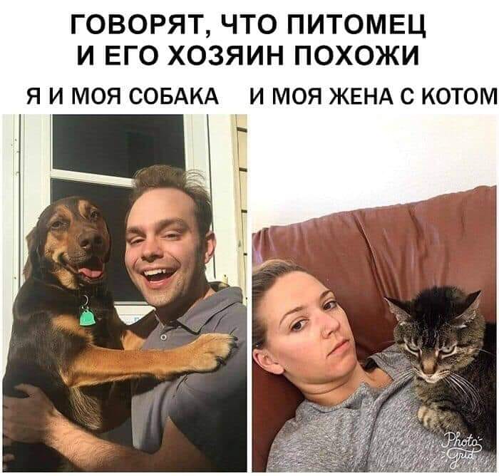 Муж наливает себе рюмку водки Муж наливает себе рюмку водки анекдоты