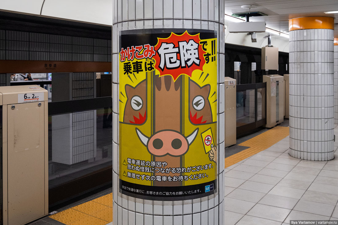 Что японцы делают с мусором Что японцы делают с мусором городская среда, интересное, мусор, парк, путешествия, токио, япония