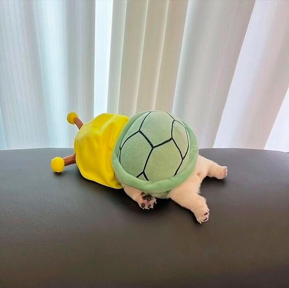 Очаровательные малыши: подборка самых милых фотографий детенышей животных