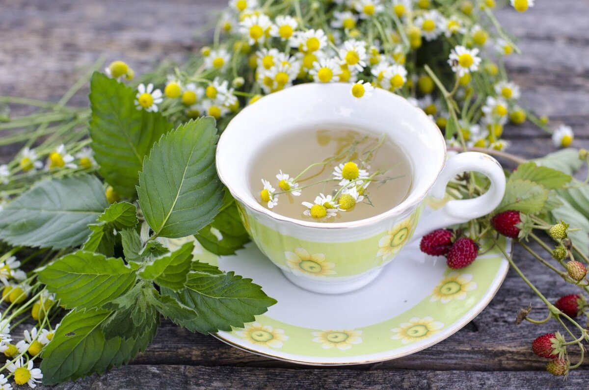 Земляничный чай снижает уровень шума в голове