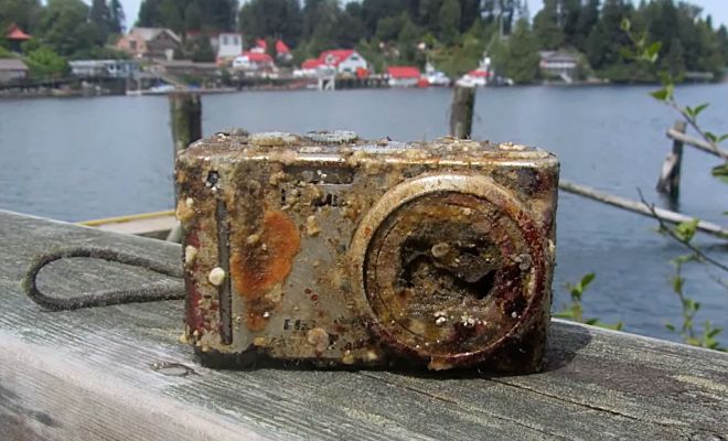 Дайвер увидел на дне моря фотокамеру, а посмотрев снимки стал разыскивать владельца