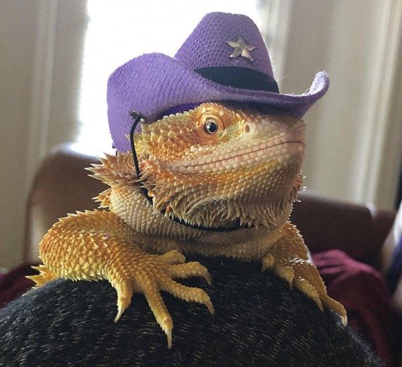 Мегапозитивная подборка дня Мегапозитивная подборка дня