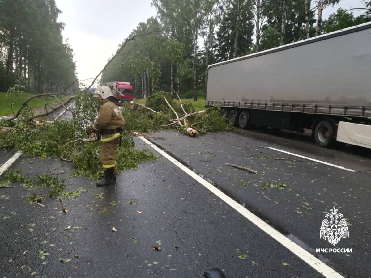 В Тверской области спасатели убрали упавшие из-за непогоды деревья