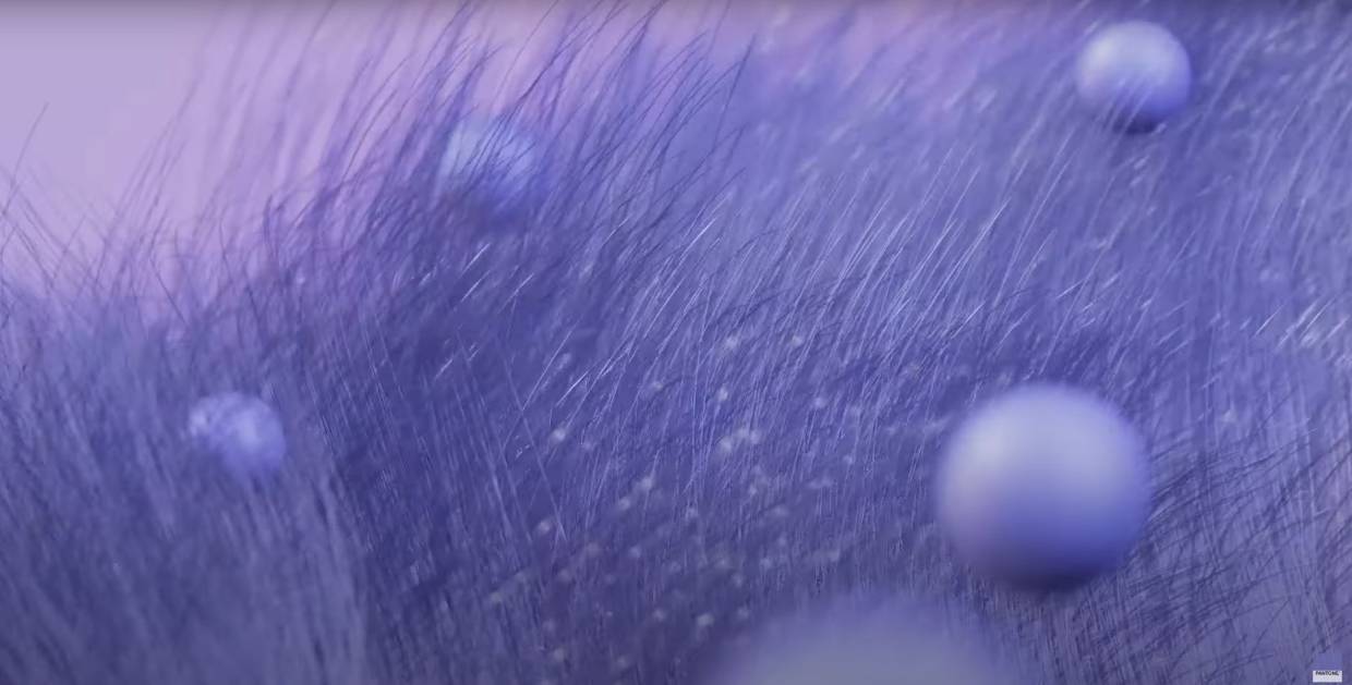 Психолог Миллер рассказала о скрытых свойствах главного цвета 2022 года