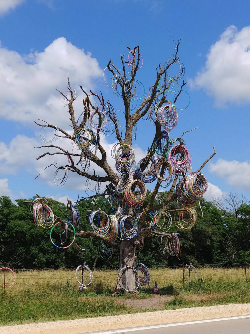 Подборка интересных и веселых картинок 14.07.19 курьезы,приколы,юмор