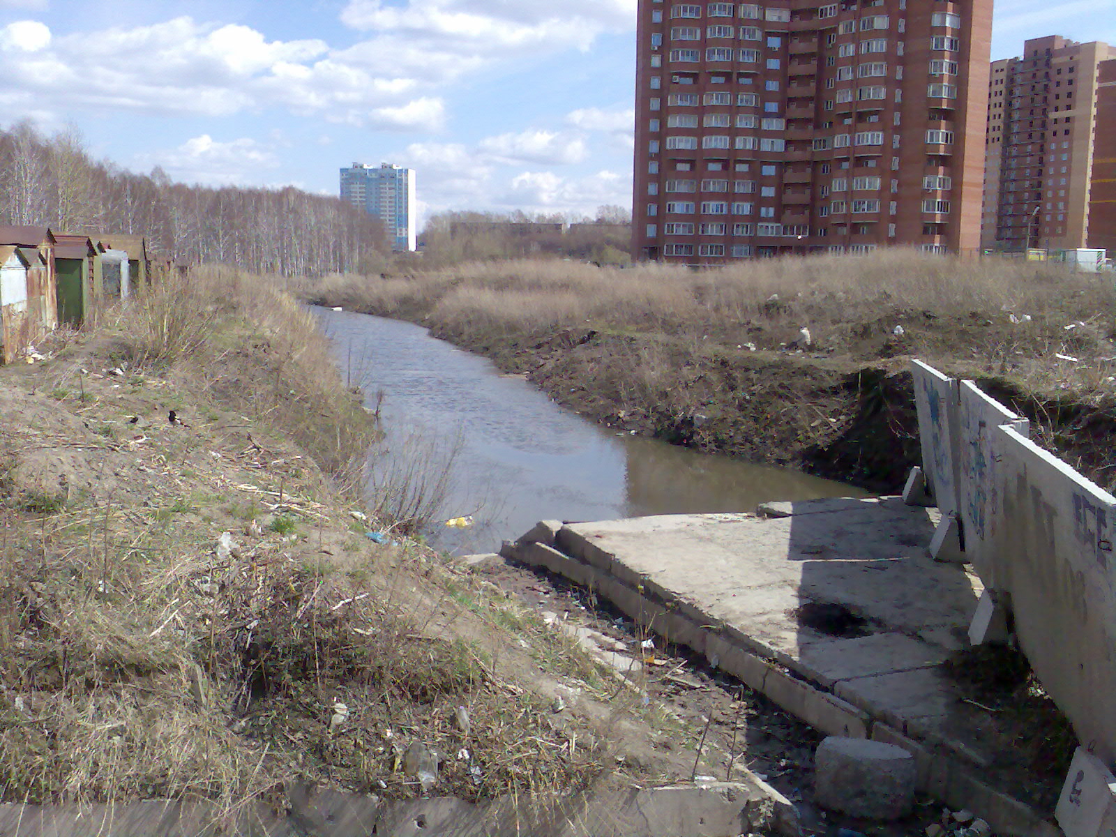 Река понял. Речка Каменка Новосибирск. Пойма реки Каменка Новосибирск. Парк на реке Каменка в Новосибирске. Парк в пойме реки Каменка.