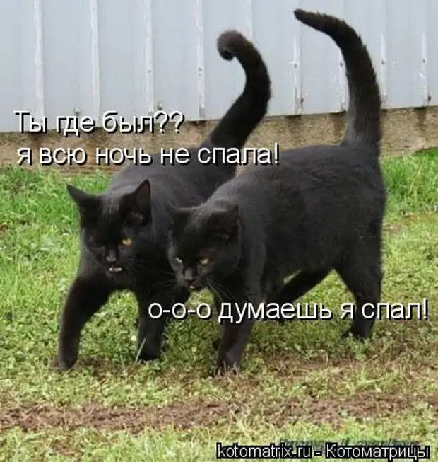 Такое настроение сегодня «хорошее», что ни в сказке сказать, ни матом сформулировать… Такое настроение сегодня «хорошее», что ни в сказке сказать, ни матом сформулировать… Чтобы, женщина, холодно, сегодня, мужчины, завтра, уснула, таблетки, постели, встал, форточку, говорит, Чтото, чтонибудь, Доктор, восстановится, сильнее, пустяки…, ресторан, больше