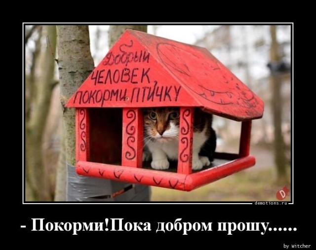 Демотиваторы для пятничного настроения: «С — смекалка» 