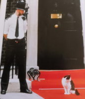 Кот и премьер-министр